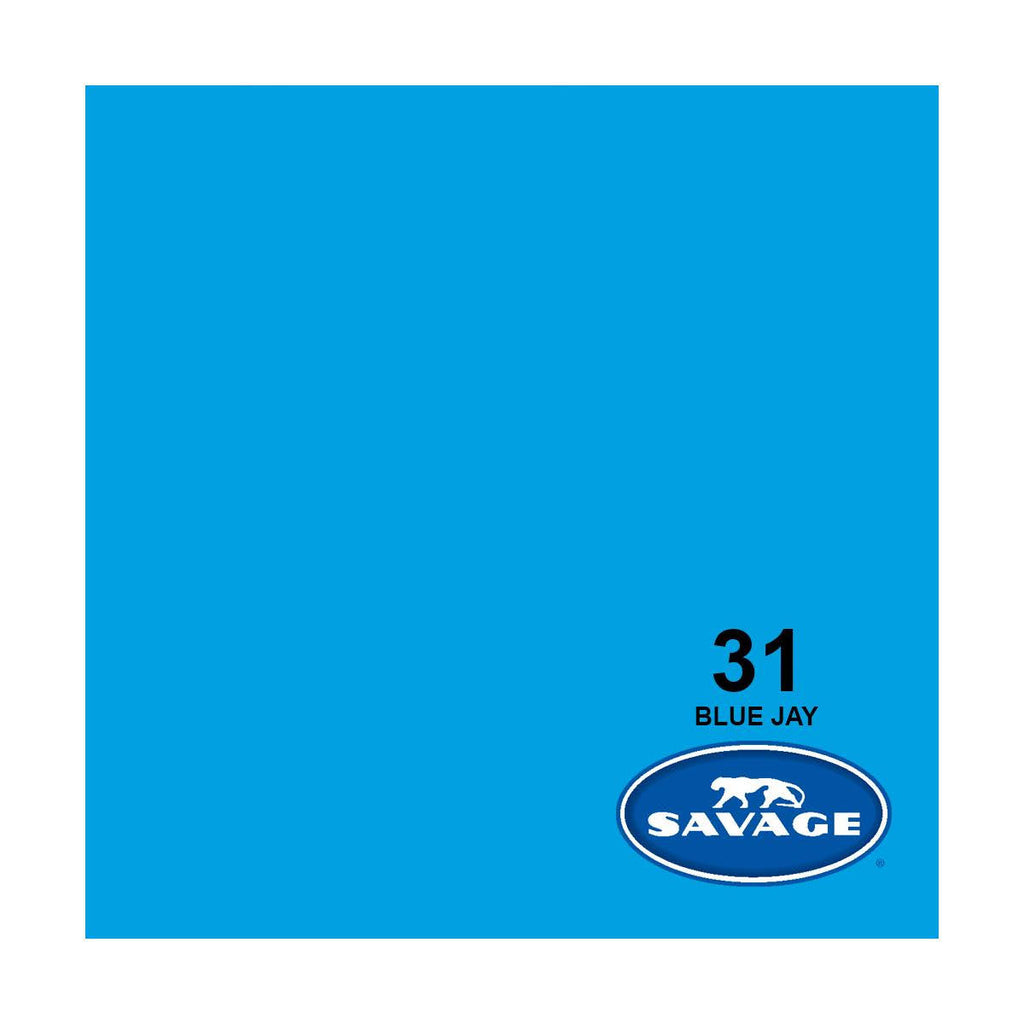 Blue Jay Seamless Background Paper 107x22x150 D876599