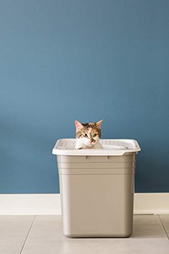 Top Entry Cat Litter Box With Filter Lid Q68633