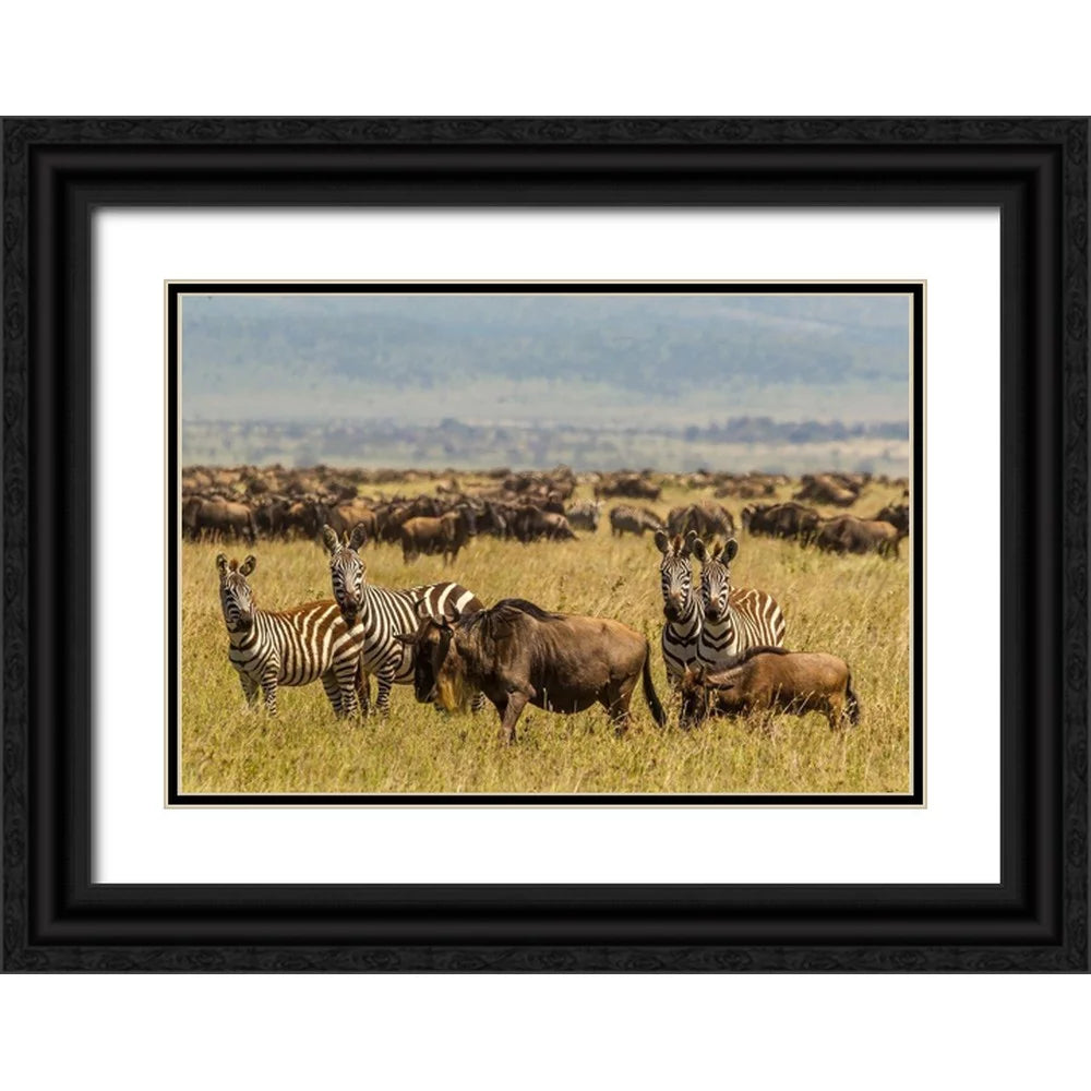 Black Ornate Wood Framed Art Print R6516
