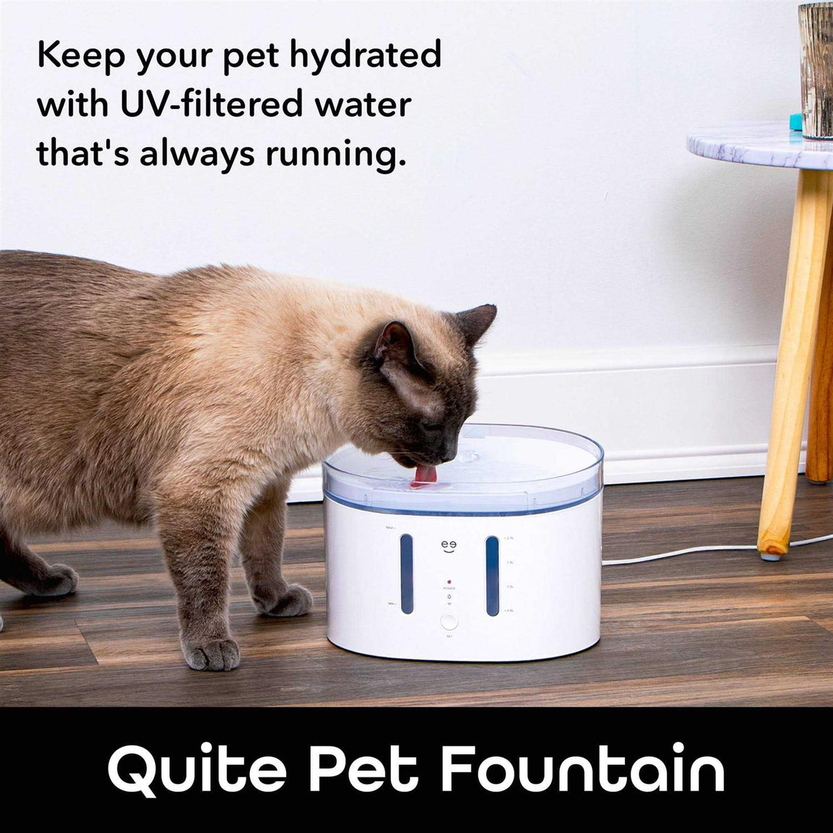 2.5 Liter Automatic Pet Water Dispenser W5902