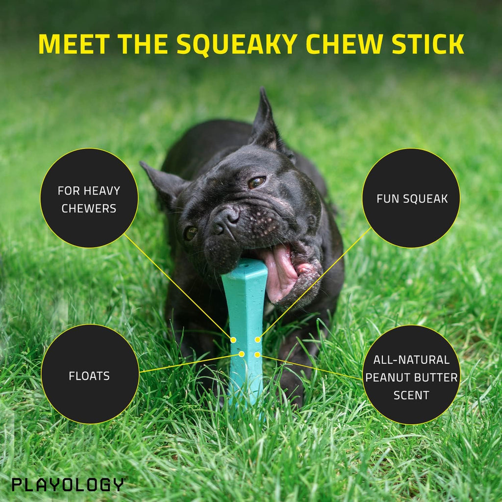 Blue Squeaky Dog Chew Stick Toy I594