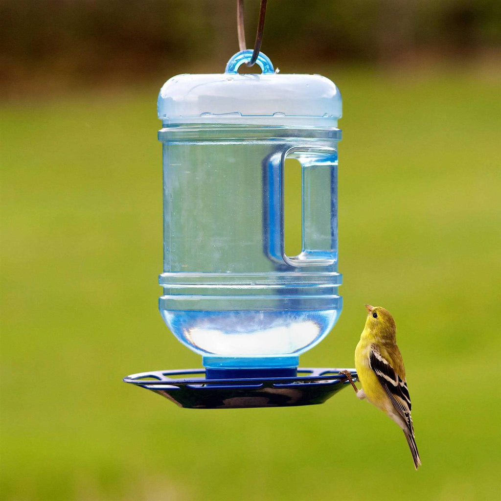 Bird Waterer W408799