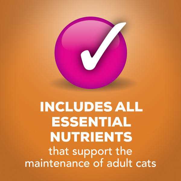 Wet Cat Food with Chicken in Gravy Y308643