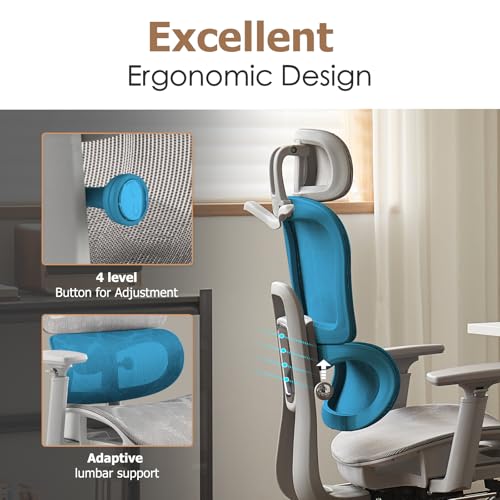 Ergonomic Mesh Office Chair with Footrest T811