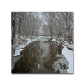 Canvas Art N990677