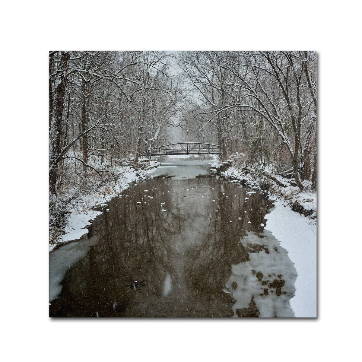 Canvas Art N990677