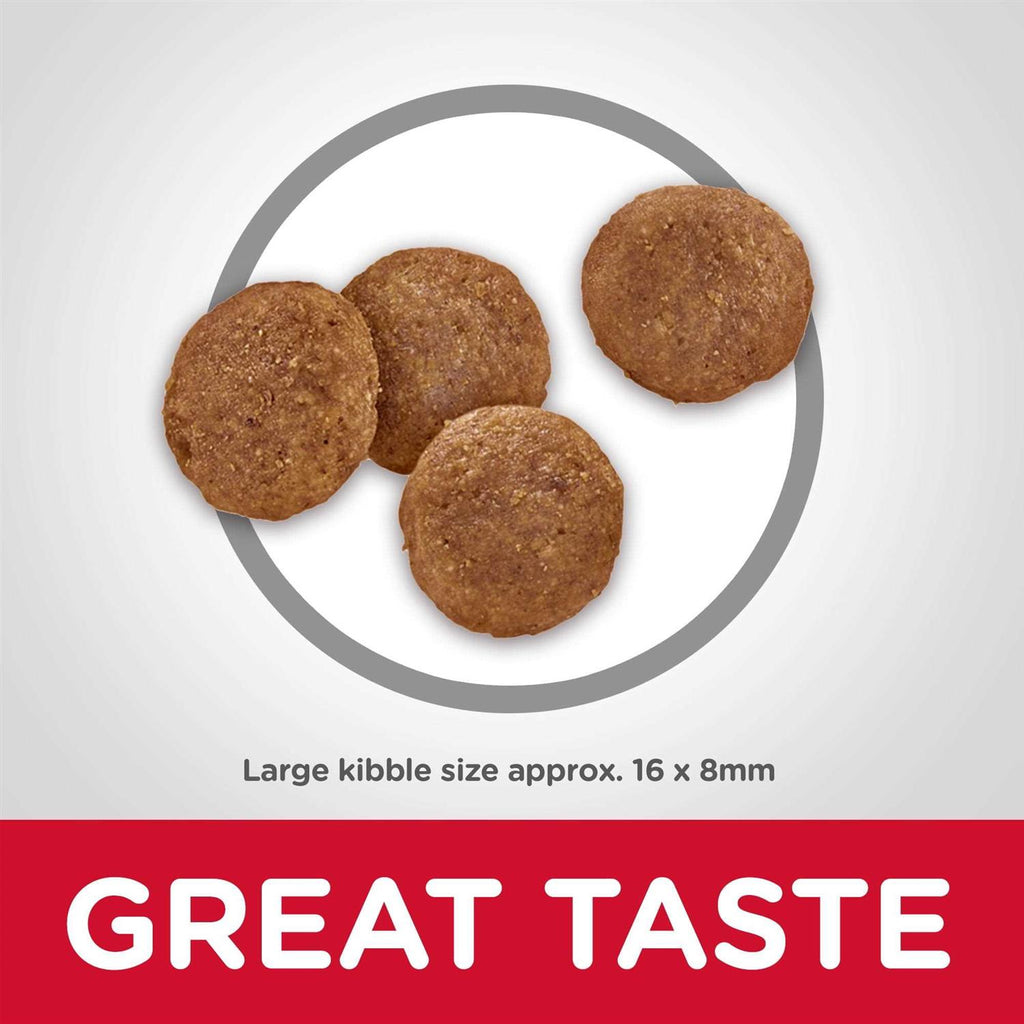 Adult Chicken & Barley Recipe Large Breed Dry Dog Food X678285