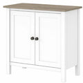 2 Door Accent Cabinet B2271