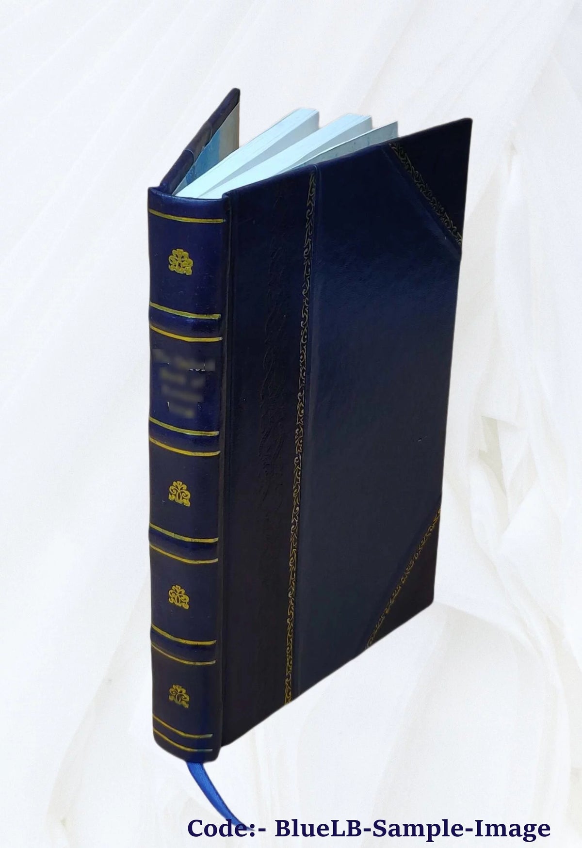 Leather Bound Book W91011