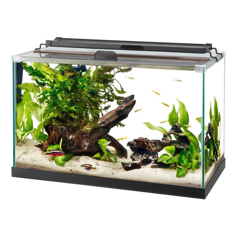 Rimless Rectangle Aquarium Z11098