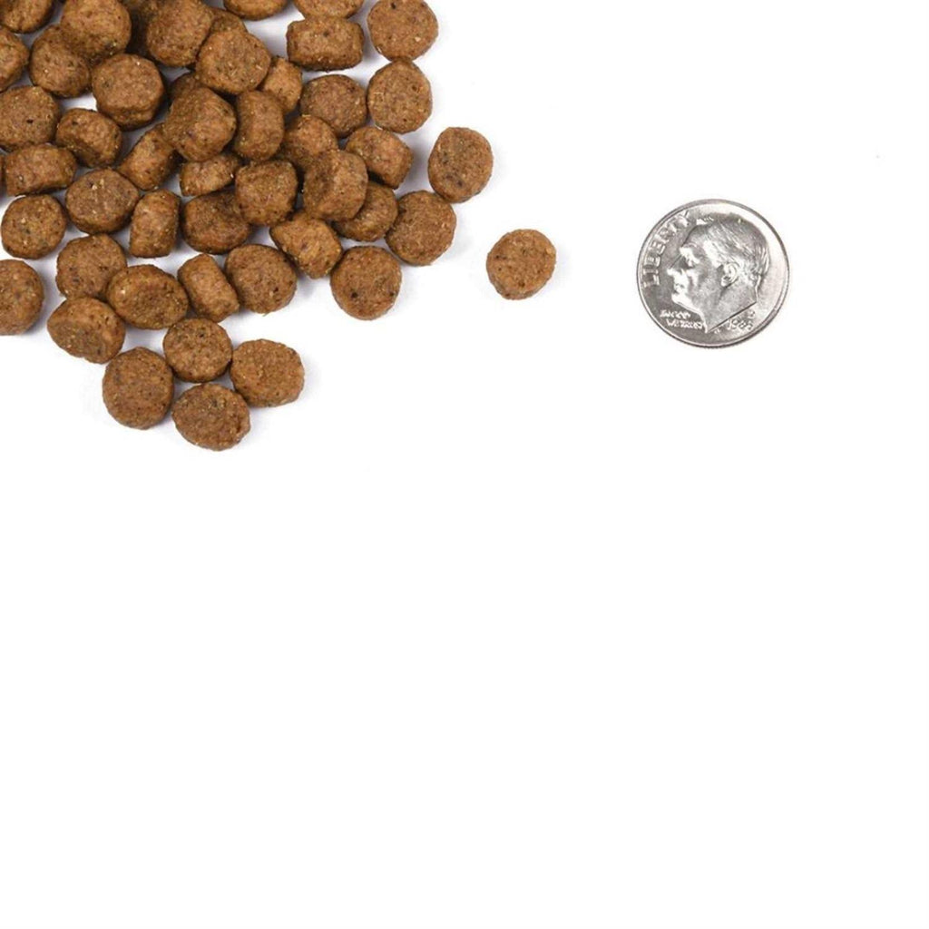 Puppy Dog Food Y86710