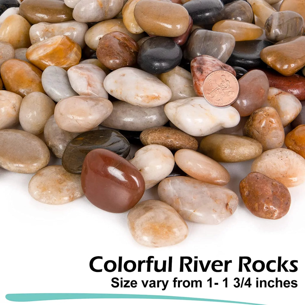 15 Pounds Polished River Rocks 1 to 1 3/4 Inch B3146