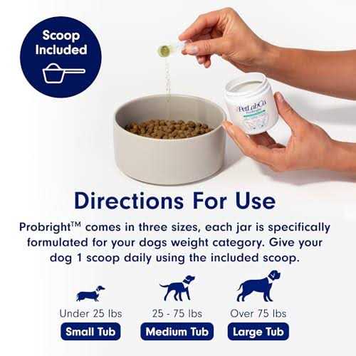 Dog Dental Powder V99252