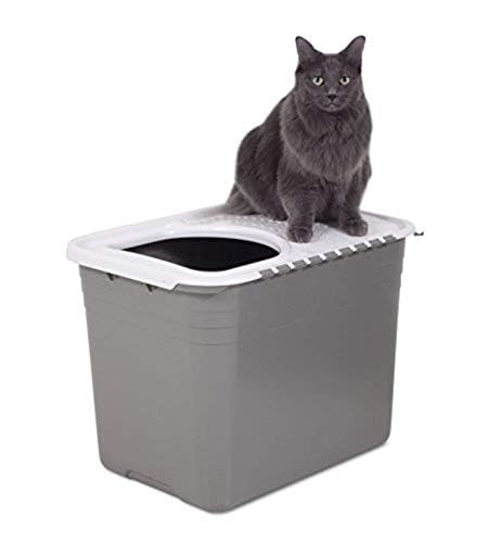 Top Entry Cat Litter Box With Filter Lid Q68633