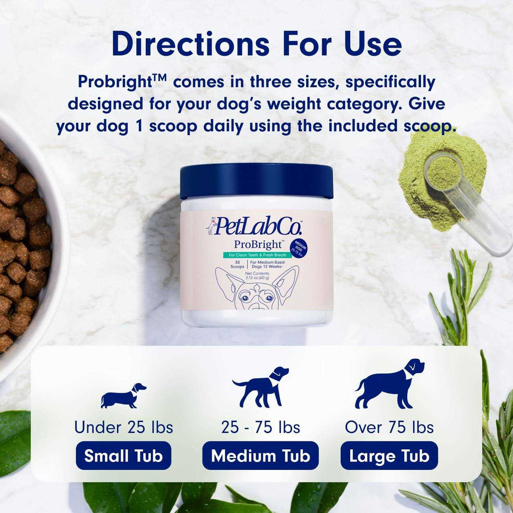 Dog Dental Powder V99252