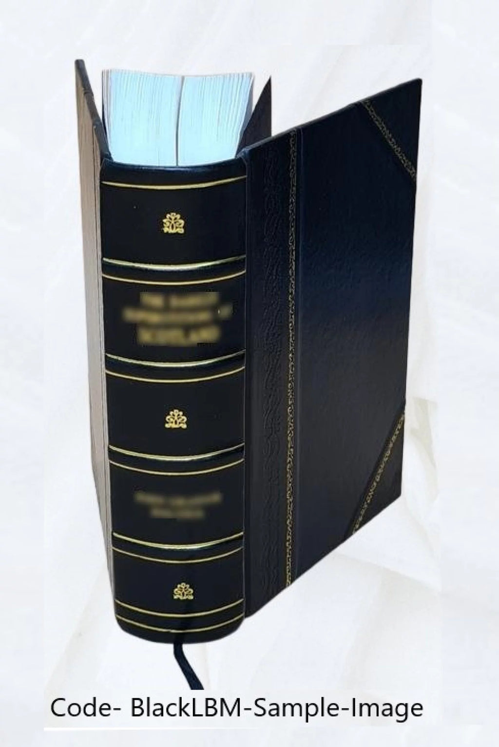 Electric Law Treatise Volume 1 Leather Bound P44596