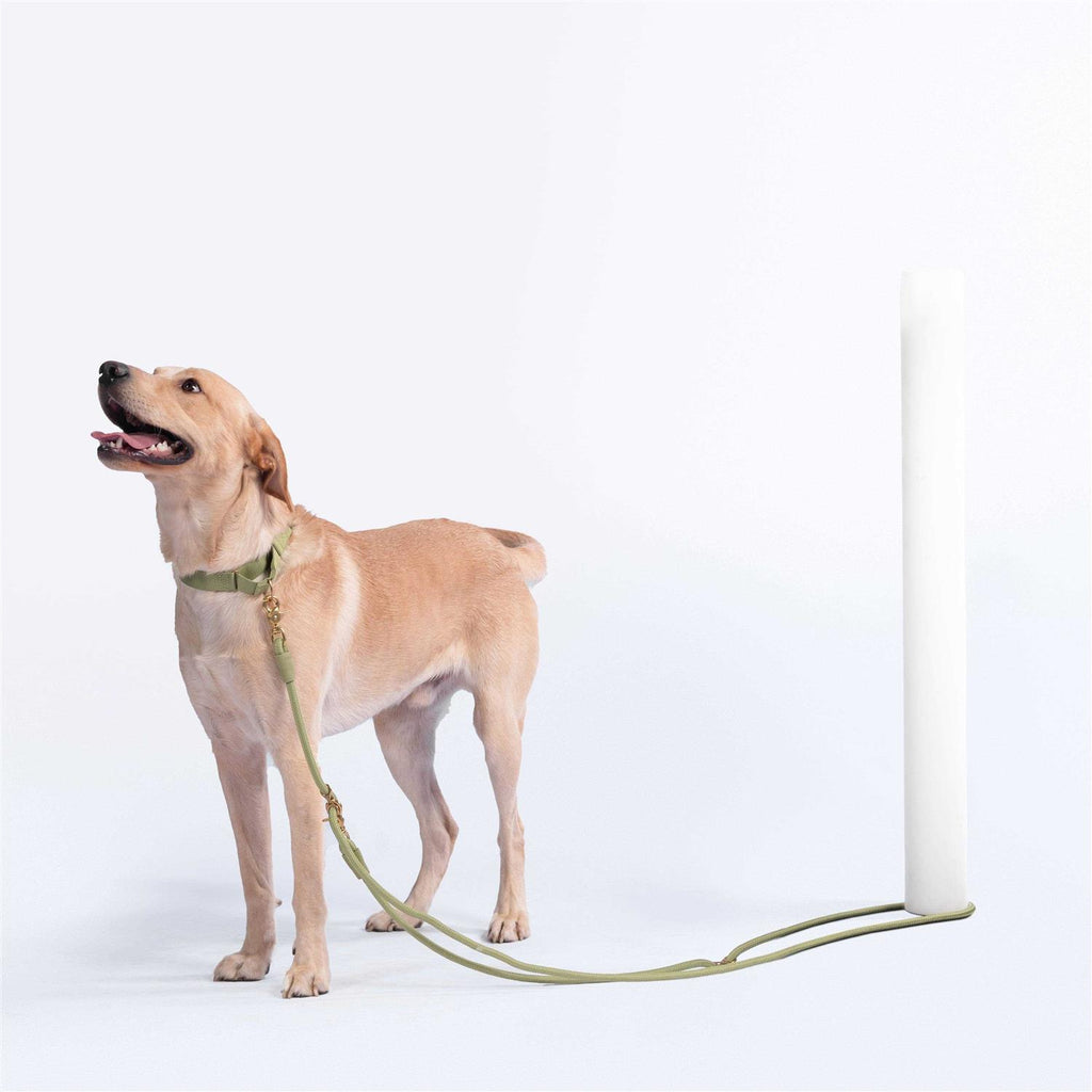Leash G802