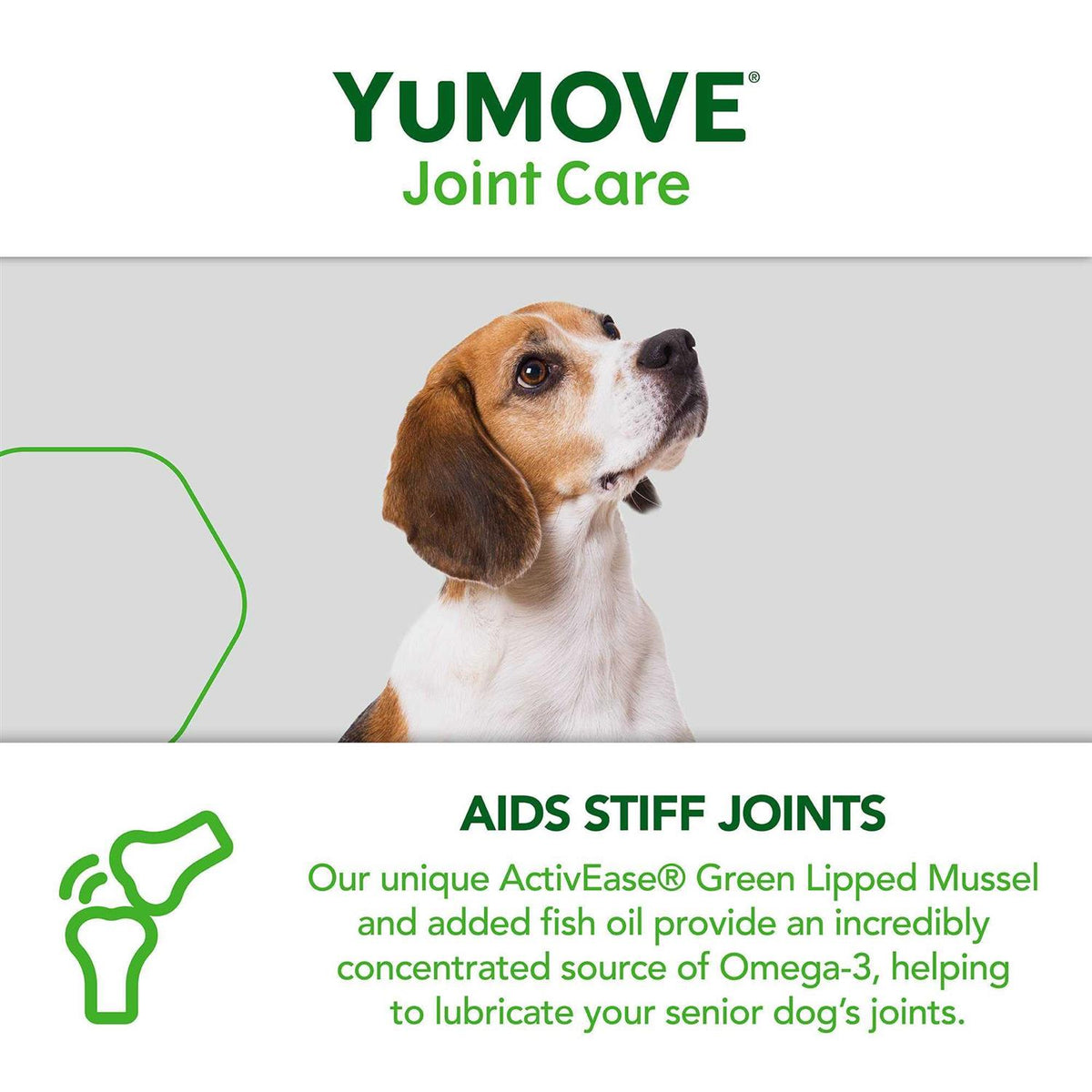 Joint Supplement for Senior Dogs R475992