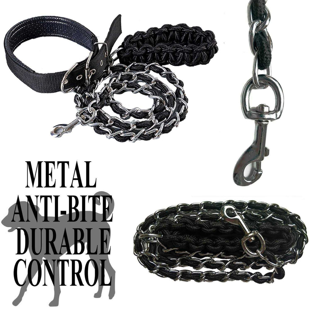 Metal Dog Leash with Collar I221120