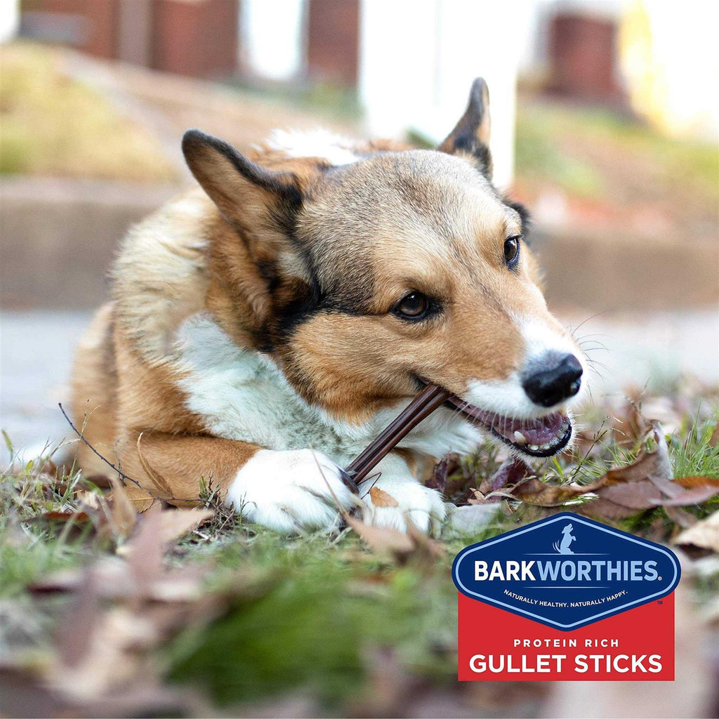 Beef Gullet Sticks H697274