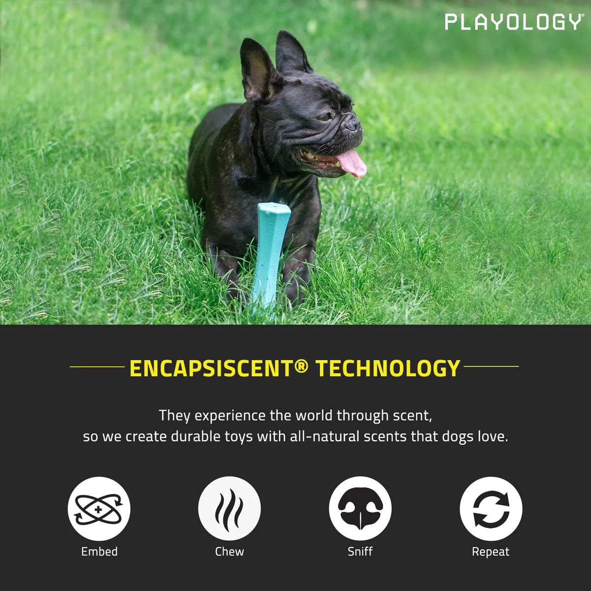 Blue Squeaky Dog Chew Stick Toy I594