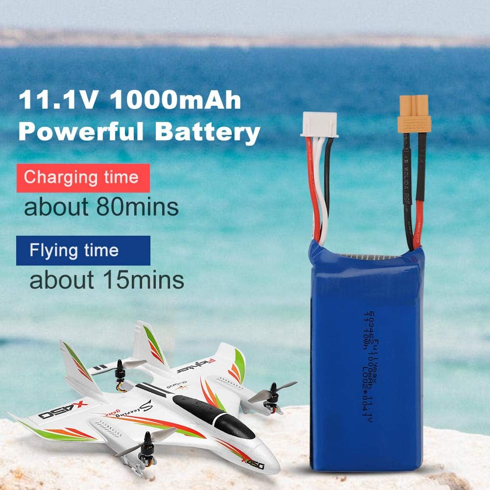 2.4G Remote Control 6 Channel Brushless Motor RC Airplane D673