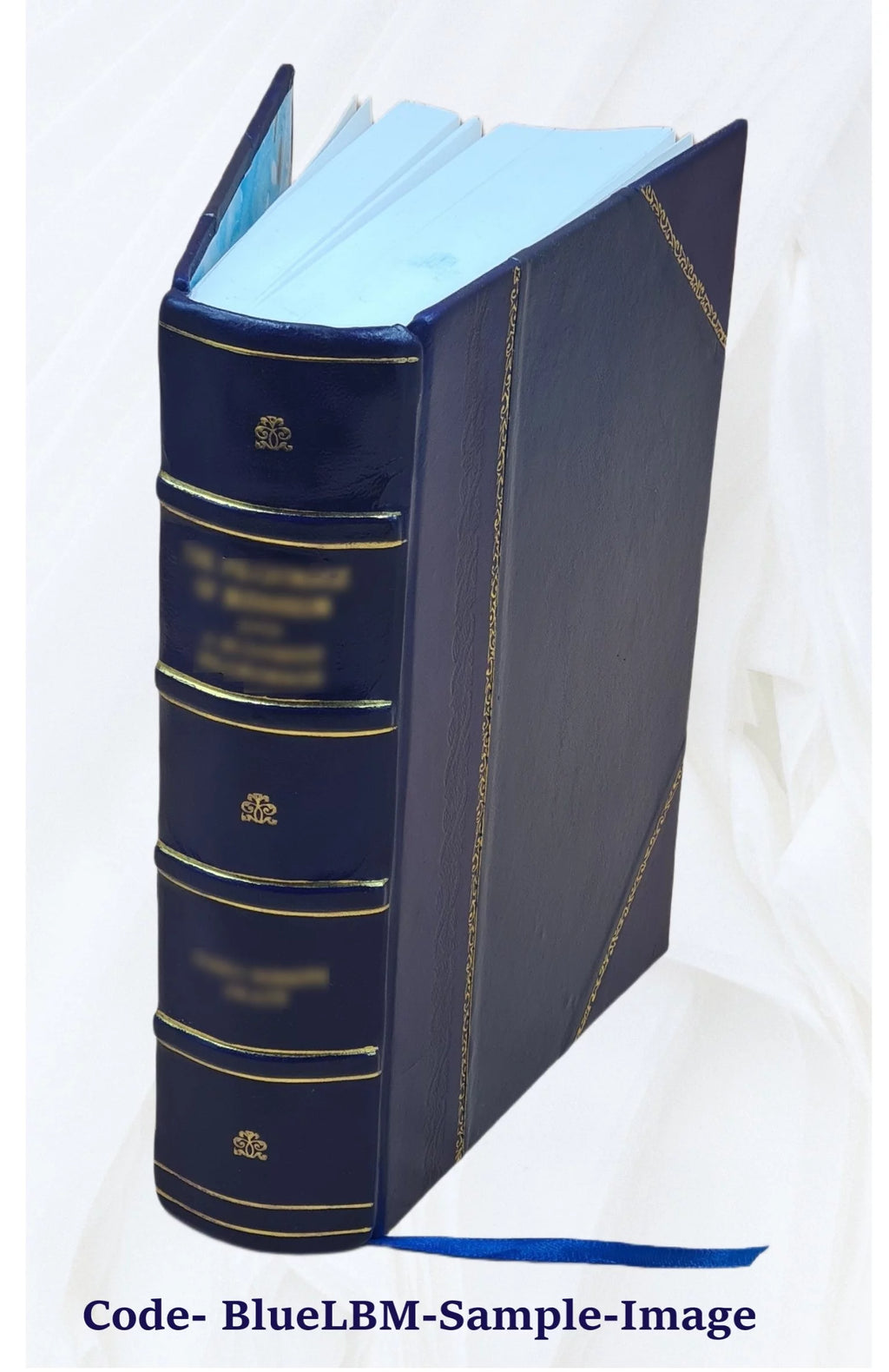 Electric Law Treatise Volume 1 Leather Bound P44596