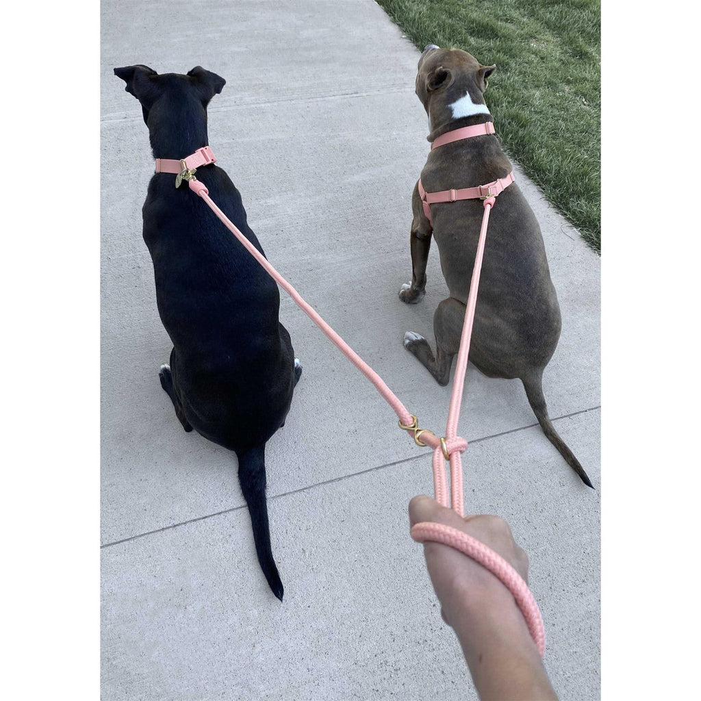 Leash G802