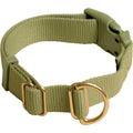 Standard Dog Collar Z79694
