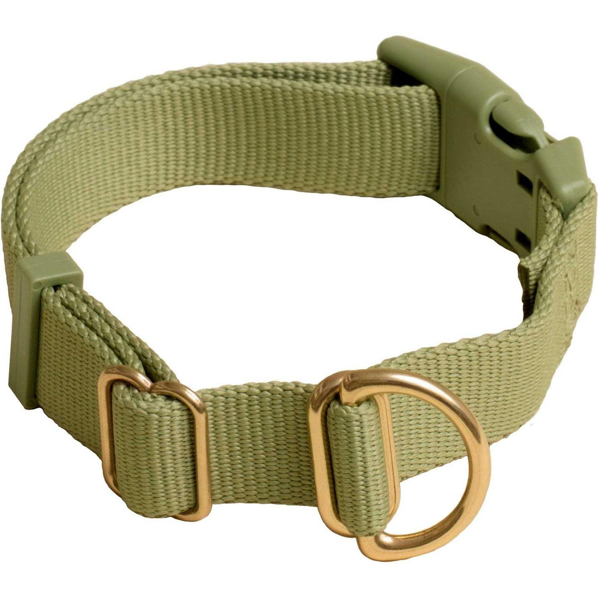 Standard Dog Collar Z79694