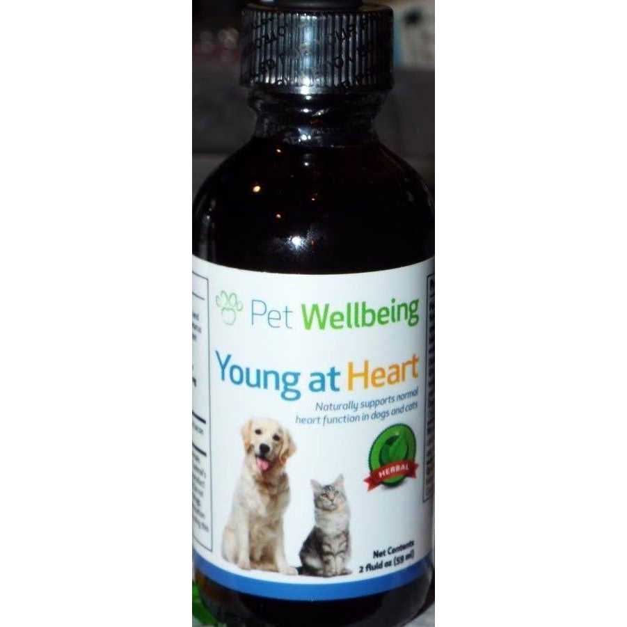 Young at Heart for Cats L14469