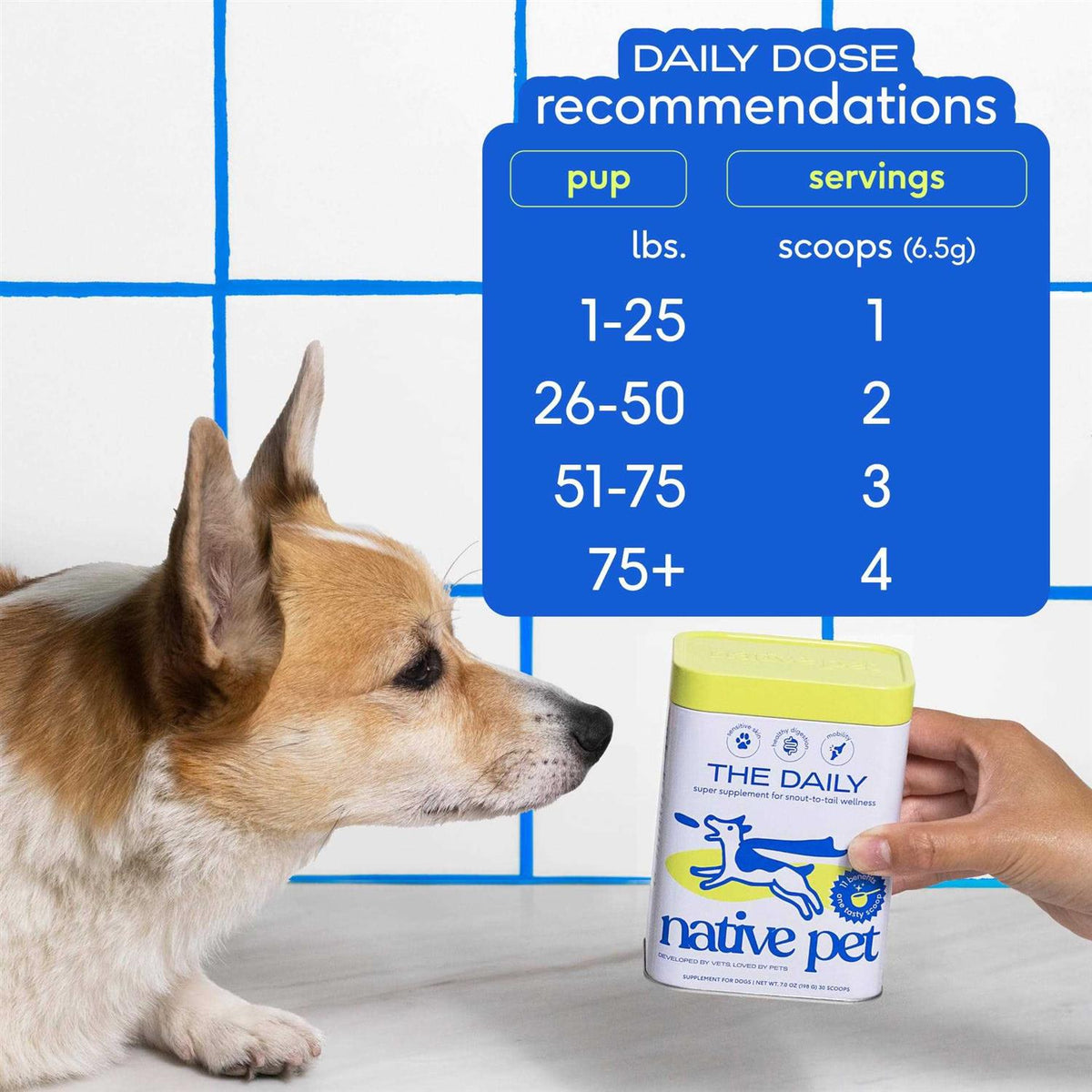 Dog Supplement C472