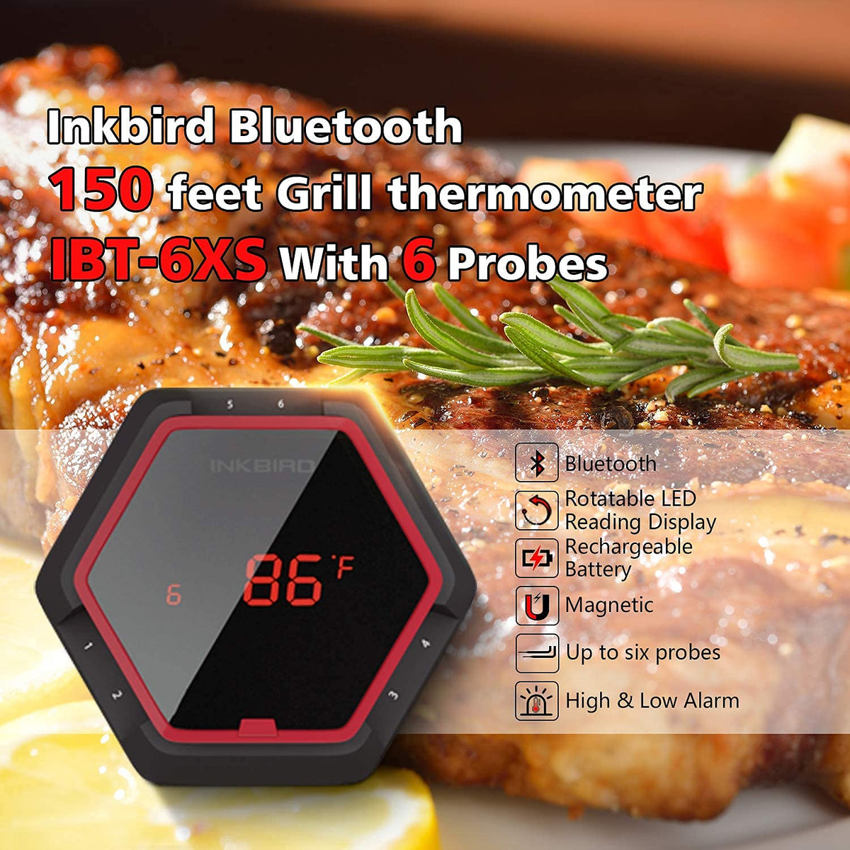 WiFi Meat Thermometer with 4 Probes & Hard Carrying Case E29365