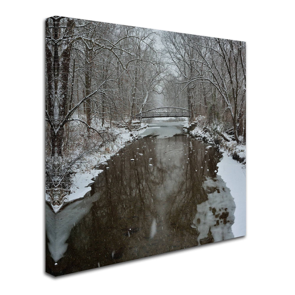 Canvas Art N990677