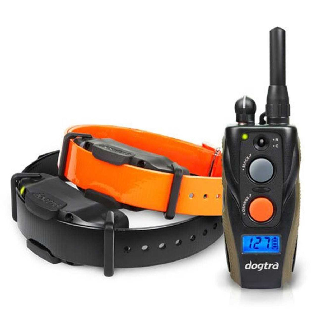 E Collar B1462