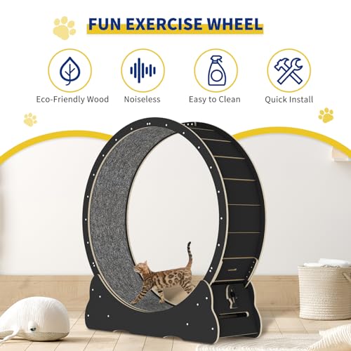 Solid Wood Cat Exercise Wheel with 2 Anti-Scratch Pads Y529917