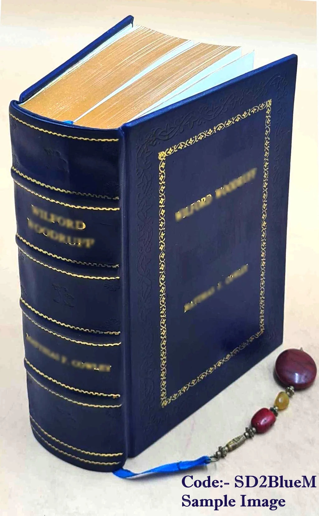 Electric Law Treatise Premium Leather Bound Z18426