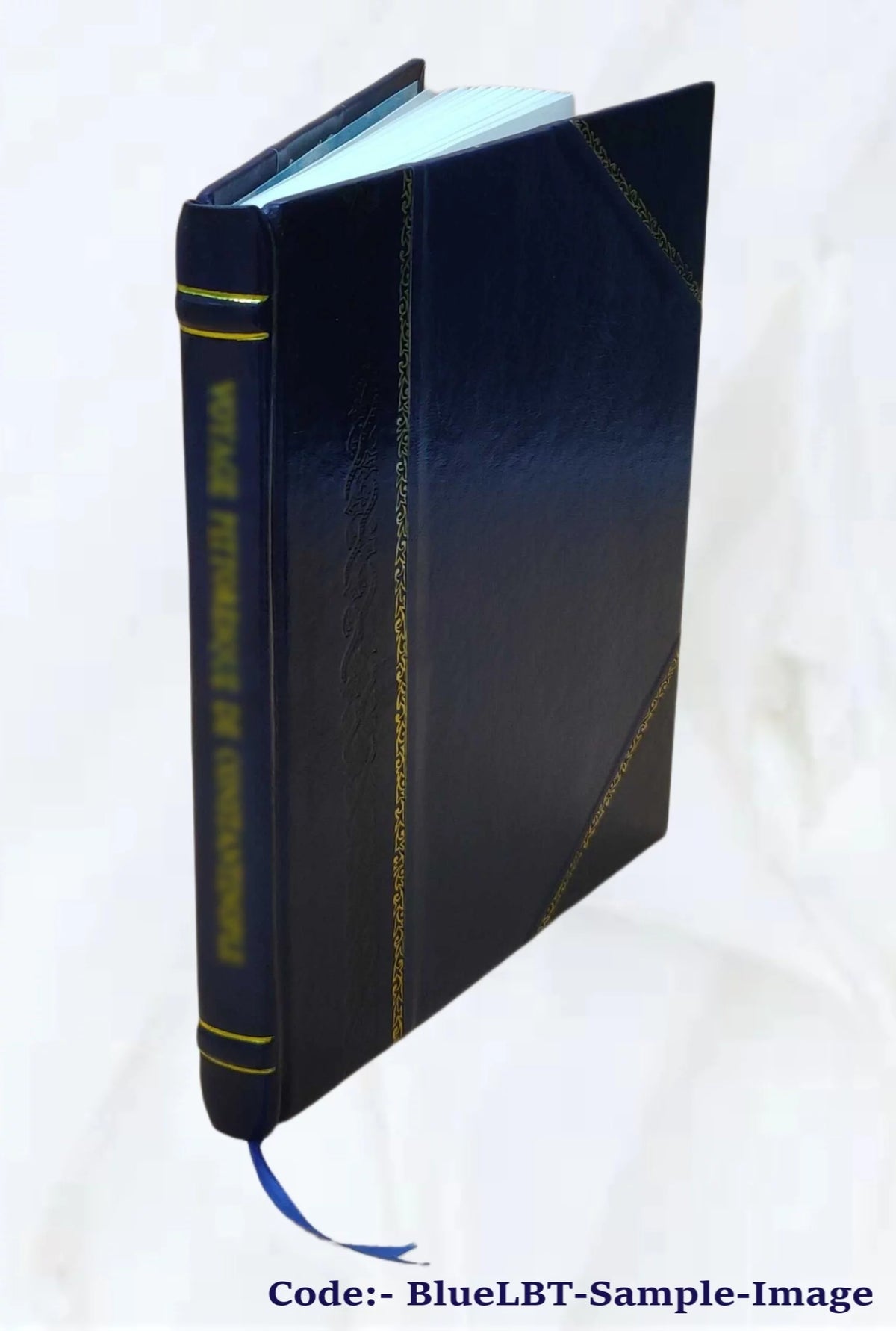 1920 Seed Catalogue Leather Bound D57321