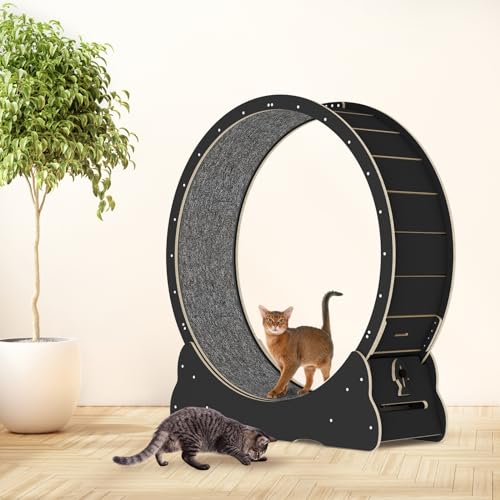 Solid Wood Cat Exercise Wheel with 2 Anti-Scratch Pads Y529917
