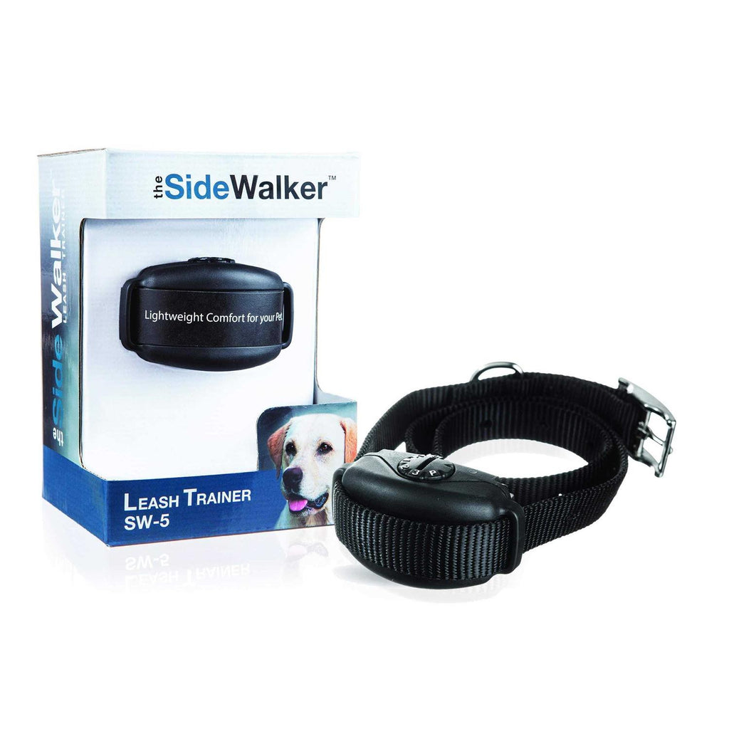 Leash Training Collar Y31383