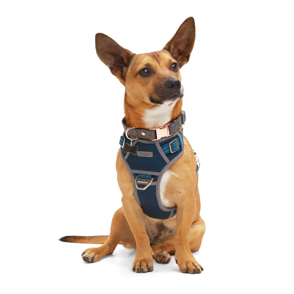 Navy Dog Harness K215062