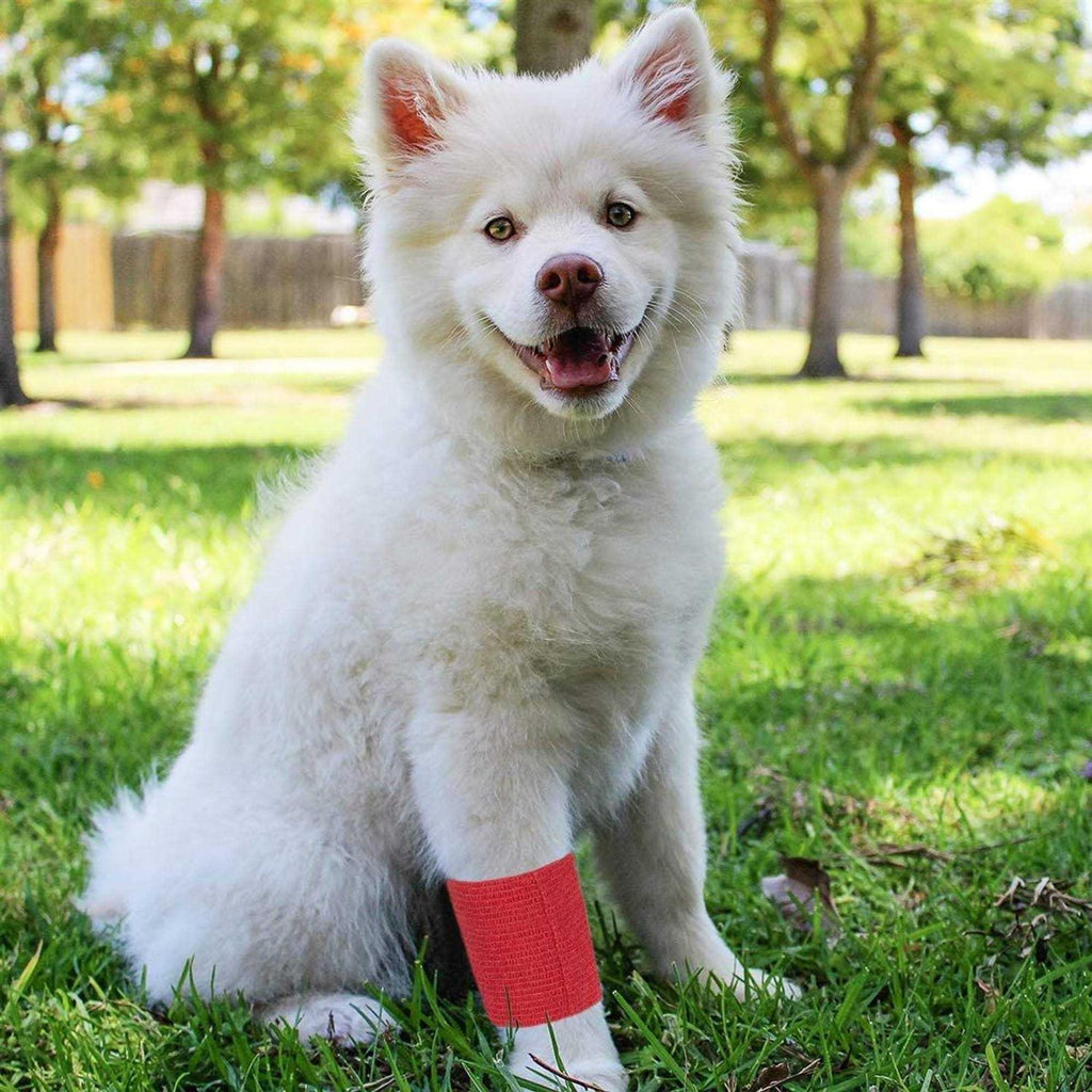 Self Adhesive Bandage Wrap L54843