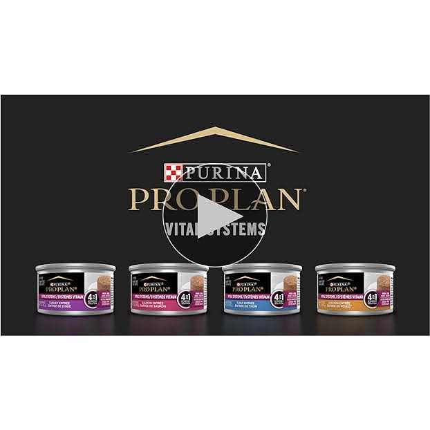 Wet Cat Food K191
