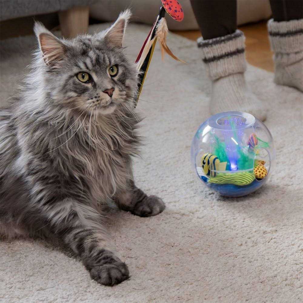 Glow Aquarium Cat Toy R9248