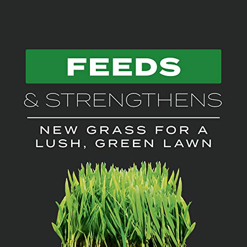 17.2 lbs. Turf Builder Fertilizer S17952
