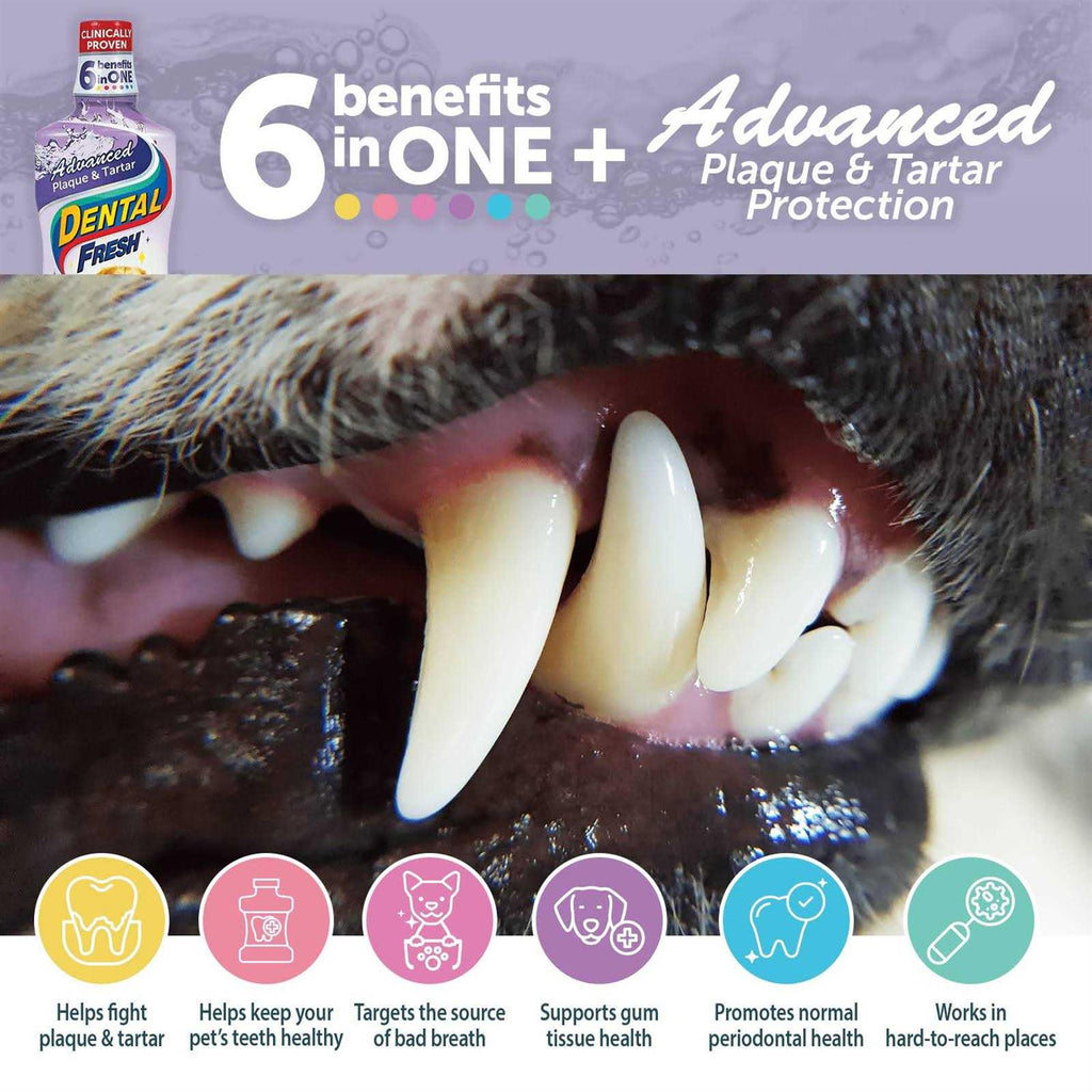 Dental Fresh Advanced Plaque and Tartar Water Additive for Dogs H978558