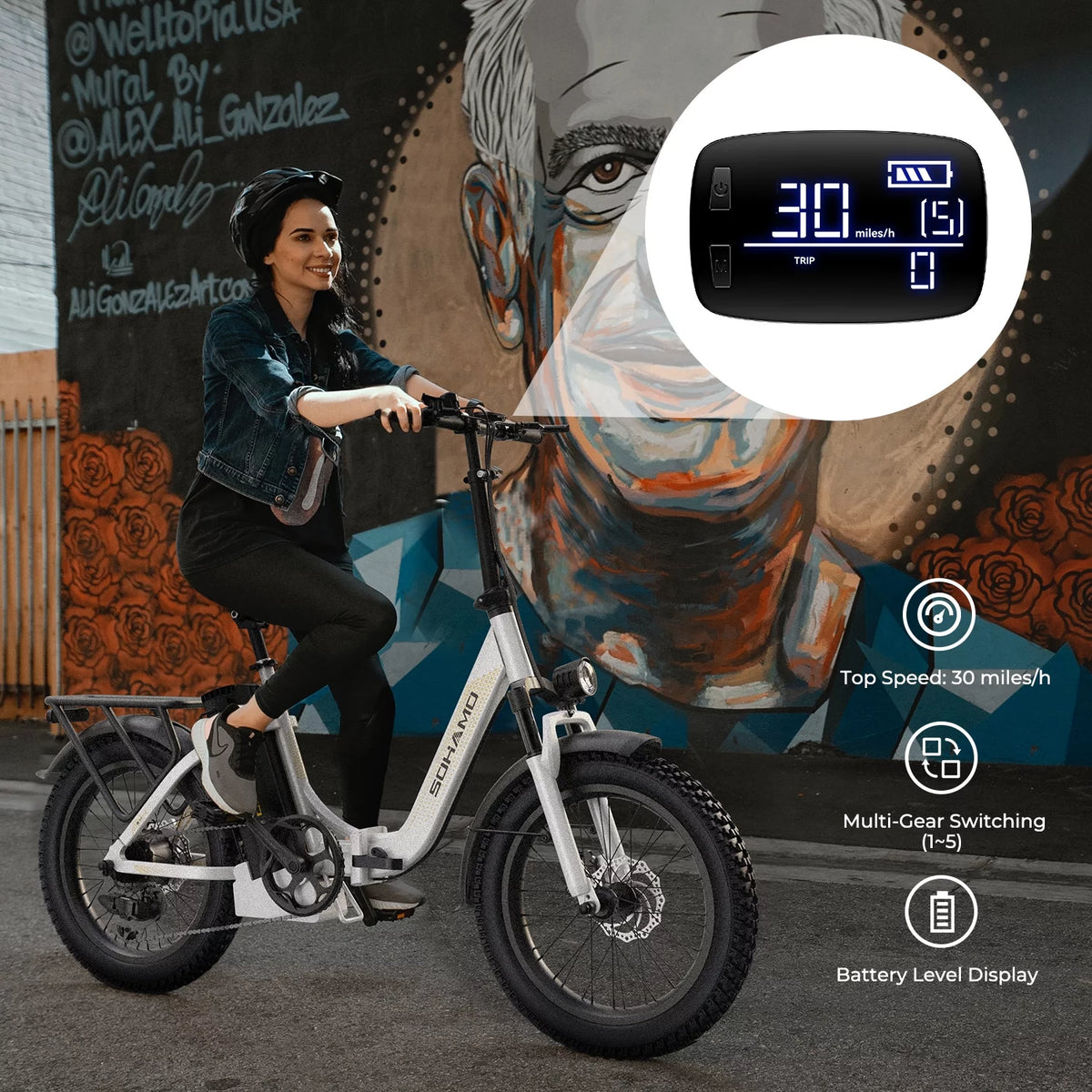 48V 15AH 750W Folding Electric Bike 20" Fat Tire C362