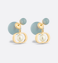 Earrings Y27965