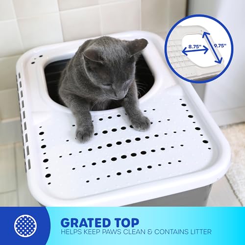 Top Entry Cat Litter Box With Filter Lid Q68633