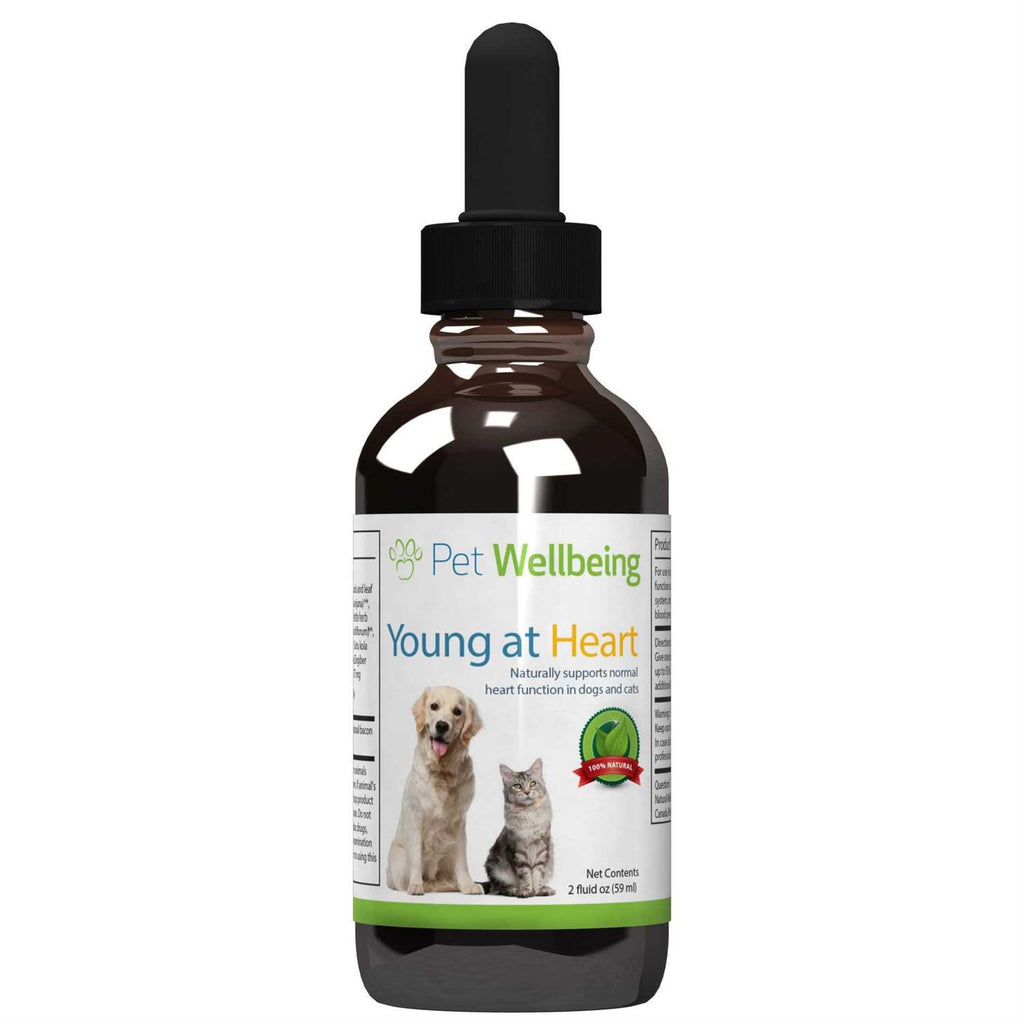 Young at Heart for Cats L14469